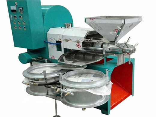 compre una máquina procesadora de aceite de salvado de arroz y maní a gran escala con capacidad de 300-400 kg/h