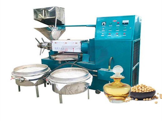 máquina de extracción de aceite de palma aceite de fruto de palma (grano)