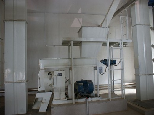 máquina procesadora de aceite de palma africana tradicional versus moderna