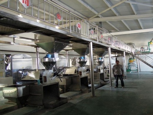 planta automática de molienda de aceite de palma|equipo|producción