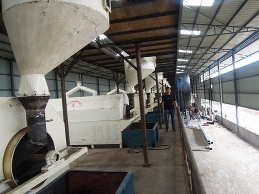 fabricante y proveedor de máquinas procesadoras de aceite de soja