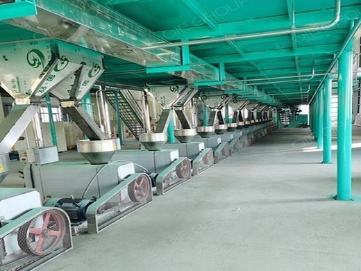 línea de producción de aceite de sésamo 5-500tpd-maquinaria de prensa de aceite