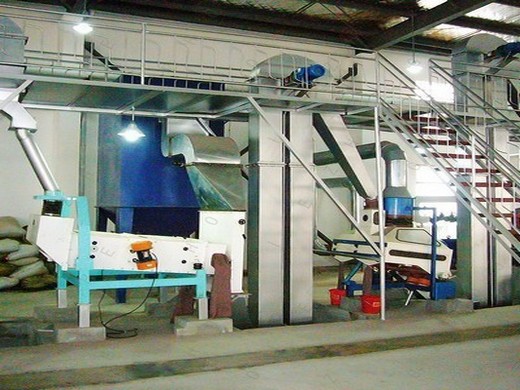 máquina prensadora de aceite de palma de 300-500 kg/h en china aceite de palma de china