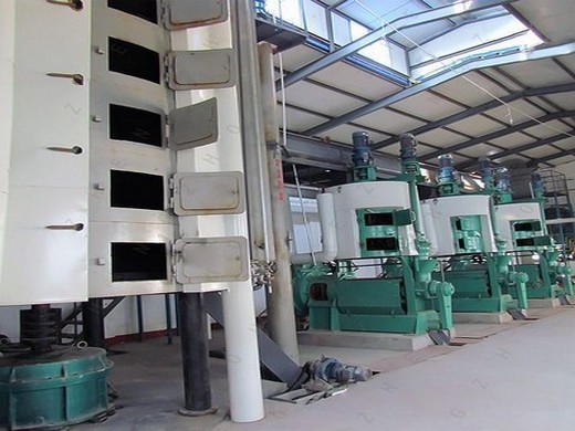 máquina de prensa de tornillo de china, extractor de aceite de oliva