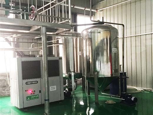 máquina de extracción de aceite de germen de maíz de china, extracción de aceite de germen de maíz