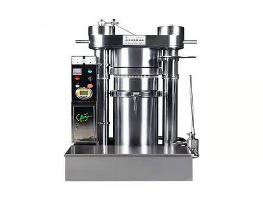 máquina prensadora de aceite comercial rbaysale 3000w