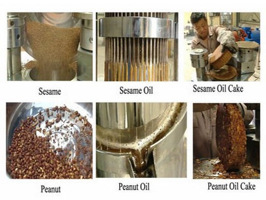 máquina procesadora de aceite de maní al por mayor