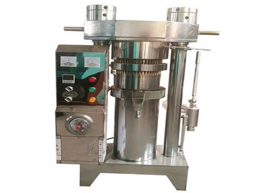 máquina prensadora de aceite de maní equipo de procesamiento de maní