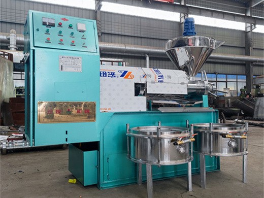 prensa de aceite automática comercial de acero inoxidable de 110v/220v