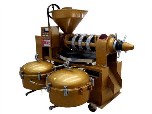 máquina prensadora de semillas oleaginosas comerciales importadas de 2000 w